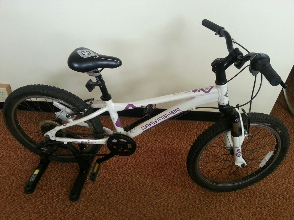 2009 Gary Fisher Precaliber